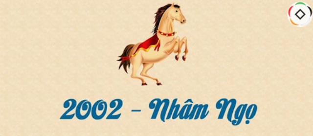 Người sinh năm 2002 tuổi gì?