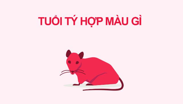 tuổi tý hợp màu sắc gì