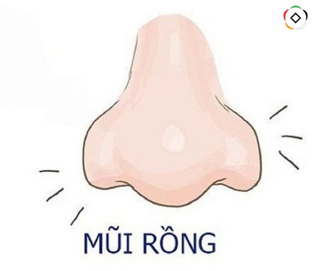 các tướng mũi giàu sang